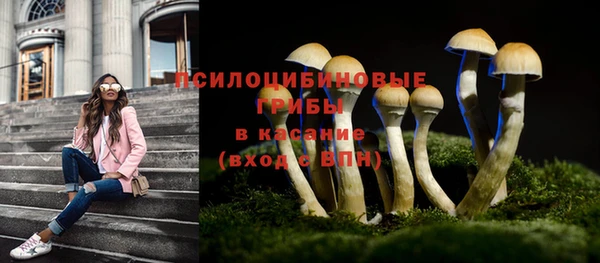 МДПВ Армянск