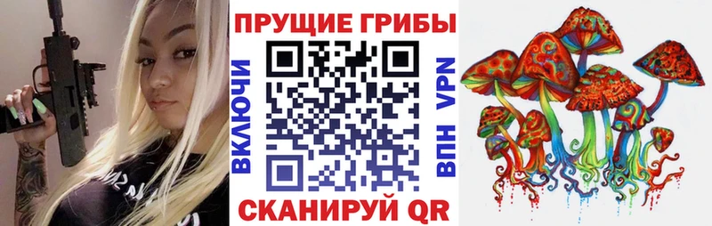 наркотики  Бронницы  Псилоцибиновые грибы Psilocybine cubensis 